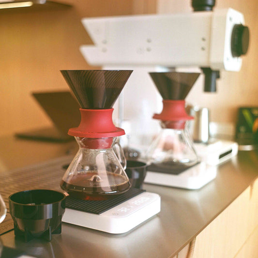 Honduras Walter Noel (Filter Roast)