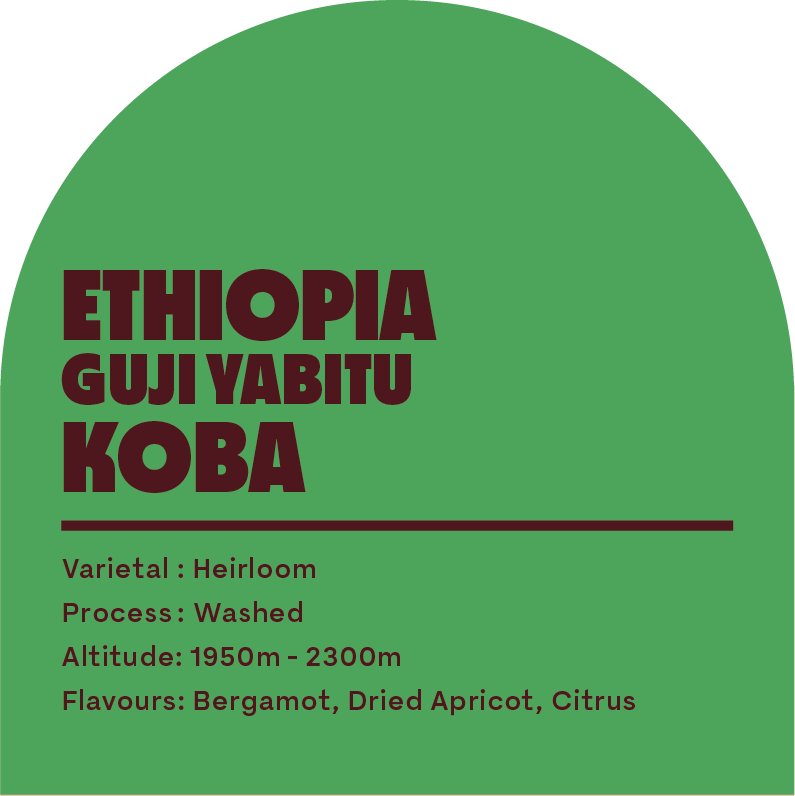 Ethiopia Guji Yabitu Koba (Filter Roast)