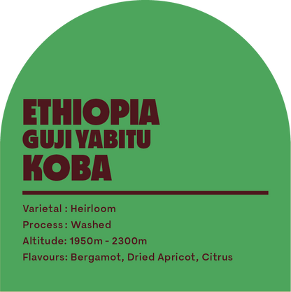 Ethiopia Guji Yabitu Koba (Filter Roast)
