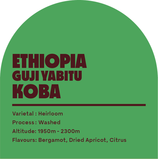 Ethiopia Guji Yabitu Koba (Filter Roast)