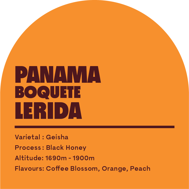 Panama Bouqete Lerida (Filter Roast)