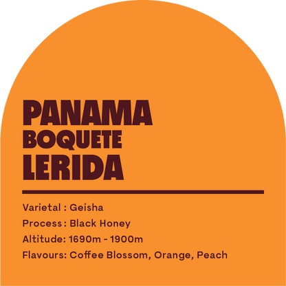 Panama Bouqete Lerida (Filter Roast)
