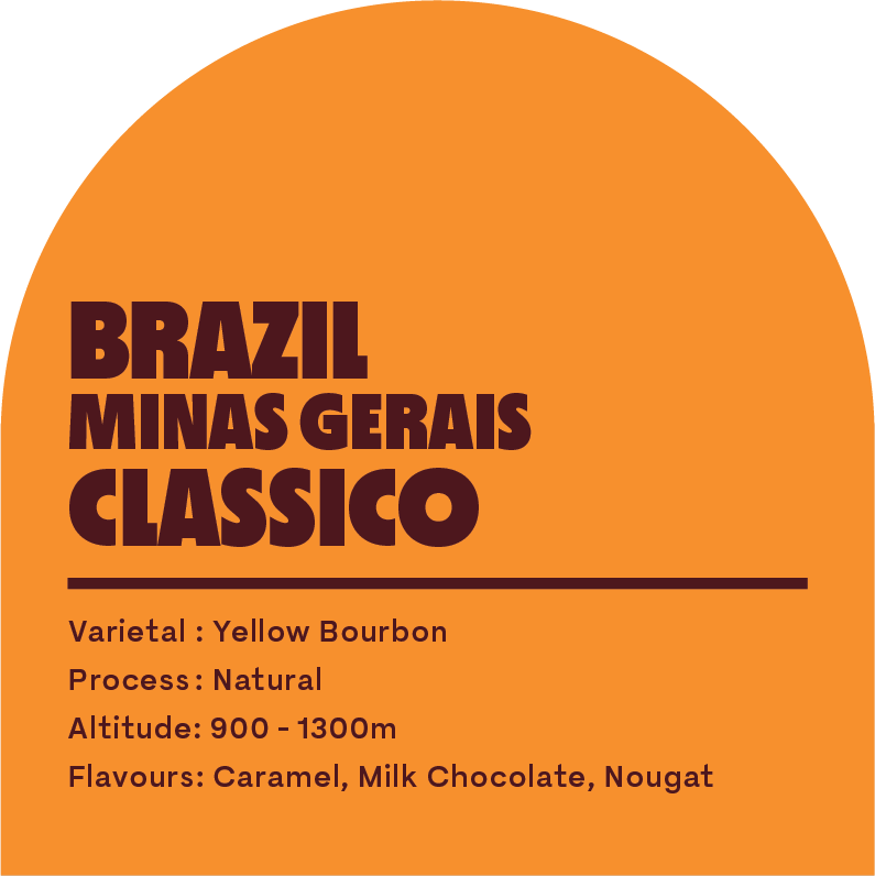 Brazil Minas Gerais Classico (DRIP BAGS)