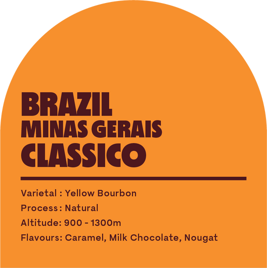 Brazil Minas Gerais Classico (DRIP BAGS)
