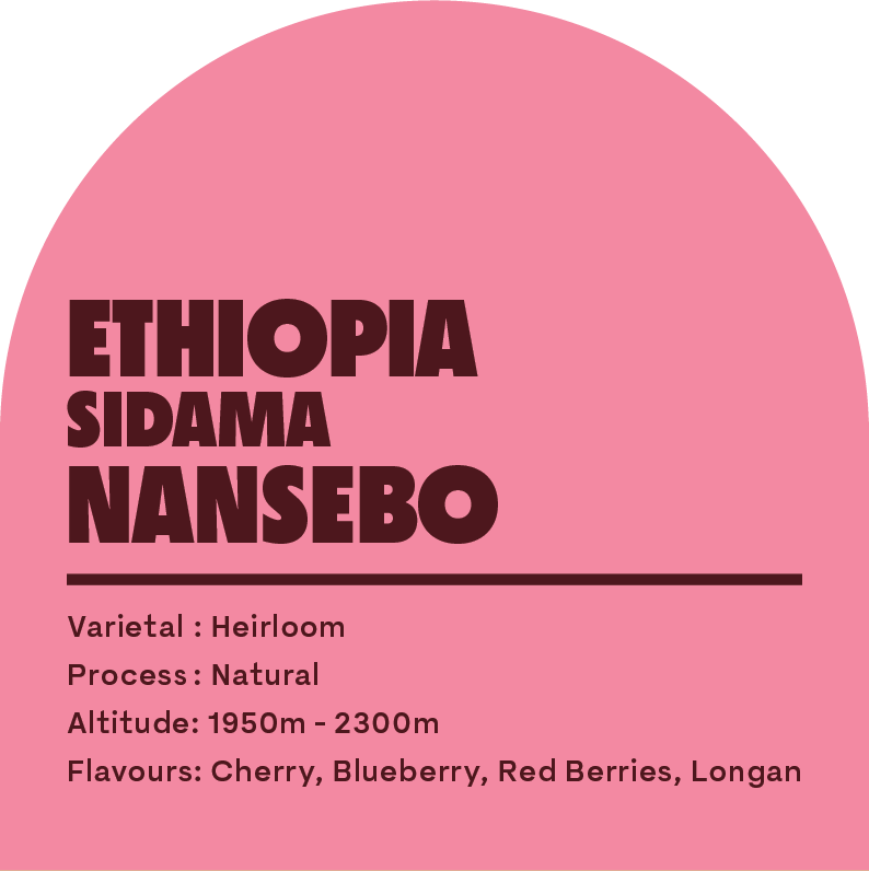 Ethiopia Sidama Nansebo (DRIP BAGS)