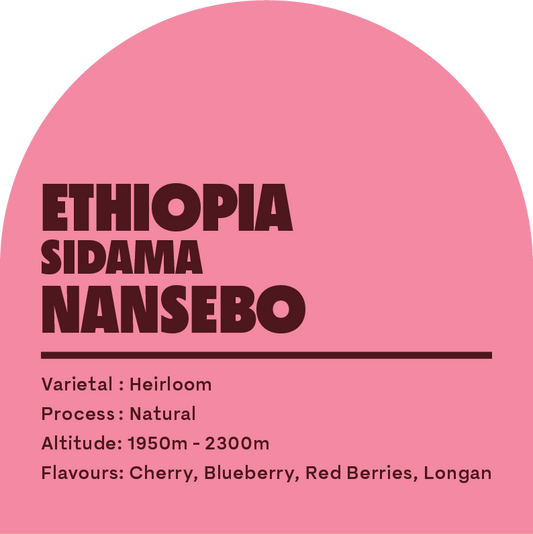 Ethiopia Sidama Nansebo (DRIP BAGS)