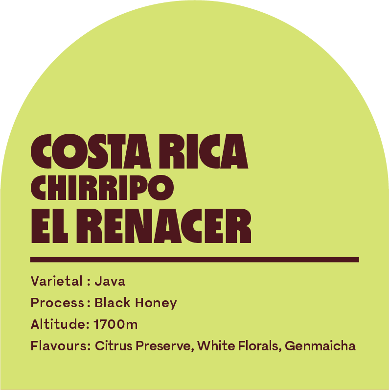 Costa Rica El Renacer (Filter Roast)