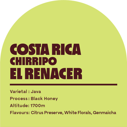 Costa Rica El Renacer (Filter Roast)
