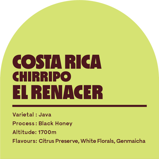 Costa Rica El Renacer (Filter Roast)