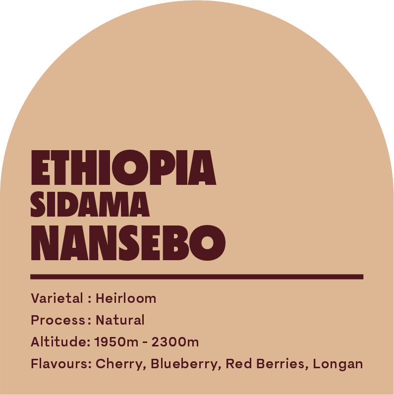 Ethiopia Sidamo Nansebo (Espresso Roast)