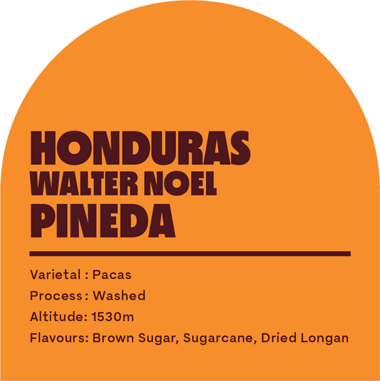 Honduras Walter Noel (Filter Roast)