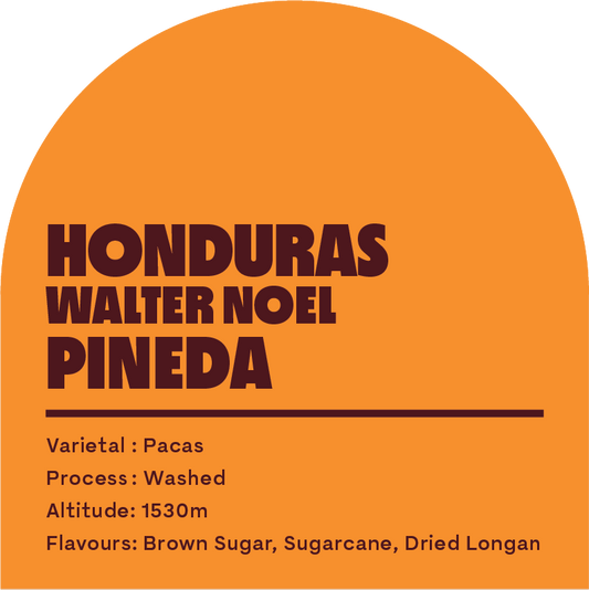 Honduras Walter Noel (Filter Roast)