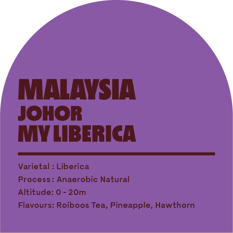Malaysia Liberica Baby Cherries (Filter Roast)
