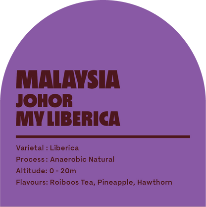 Malaysia Liberica Baby Cherries (Filter Roast)