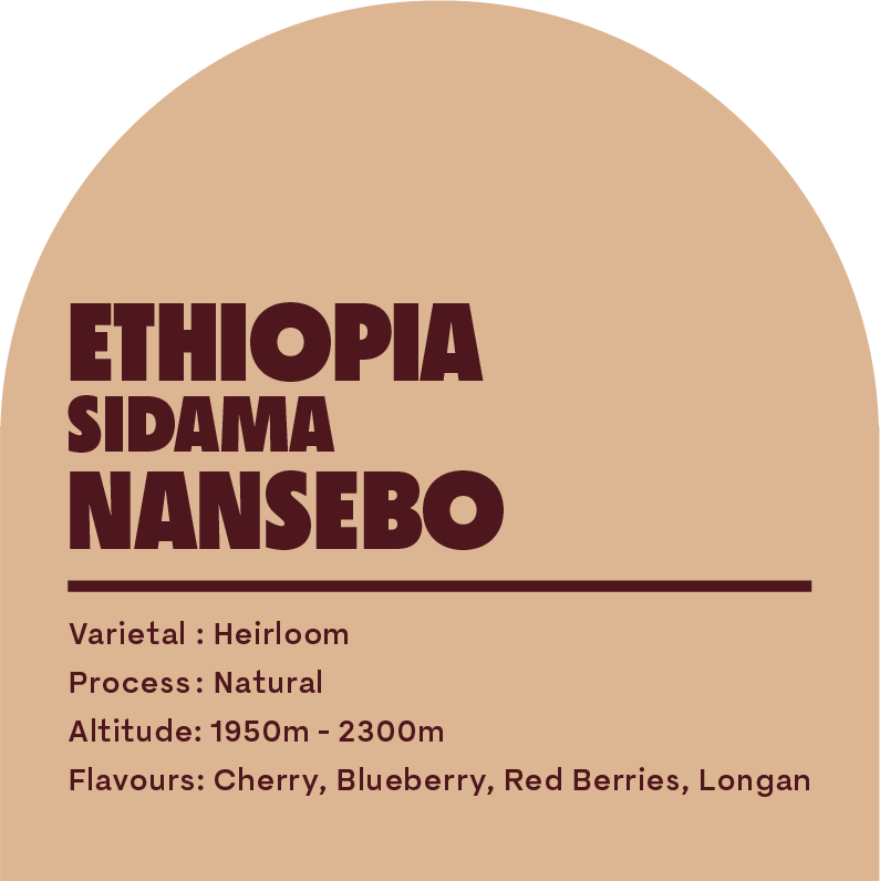 Ethiopia Sidamo Nansebo (Espresso Roast)
