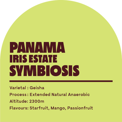 Panama Iris Estate Symbiosis (Filter Roast)