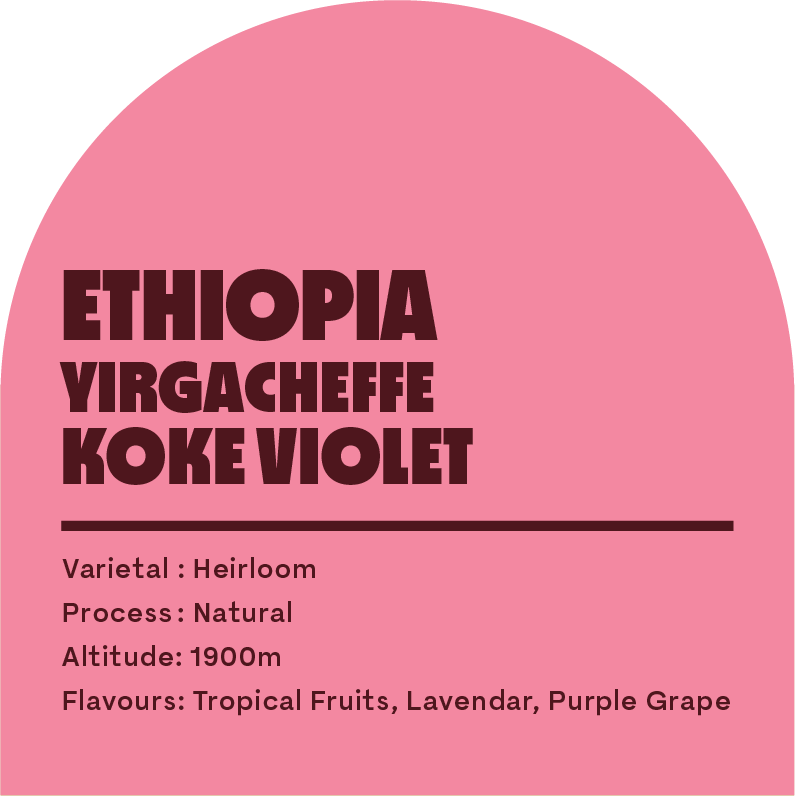 Ethiopia Koke Violet (Filter Roast)