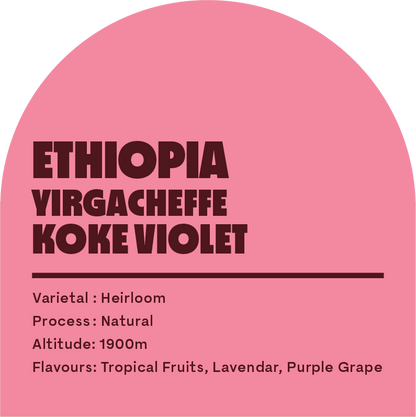 Ethiopia Koke Violet (Filter Roast)